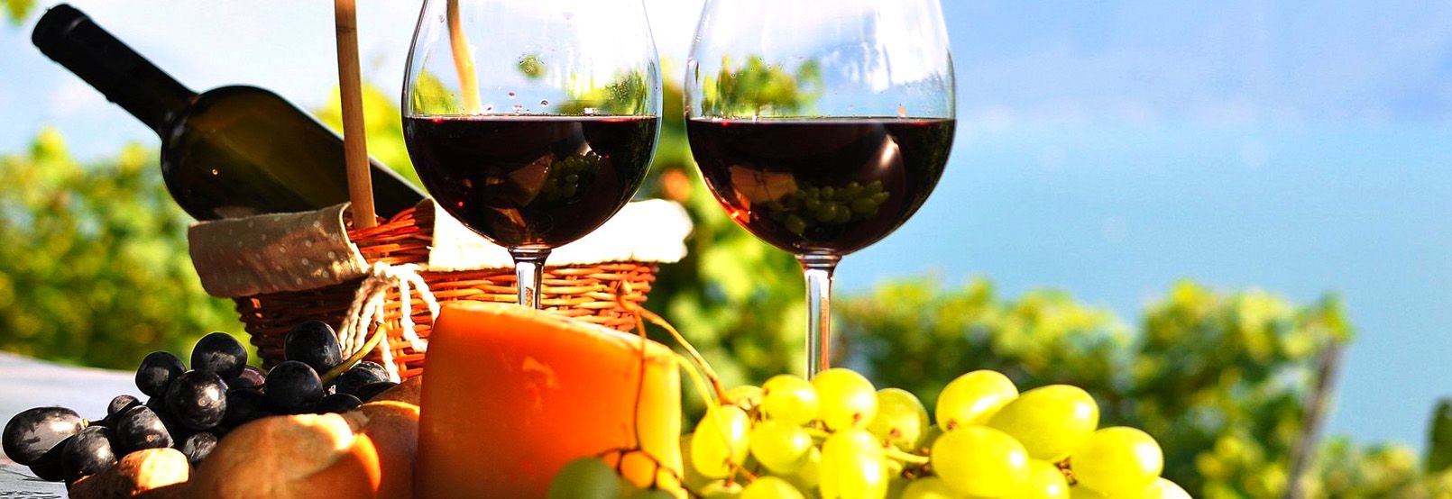 CIRCUITO DEL VINO EN GUANAJUATO
